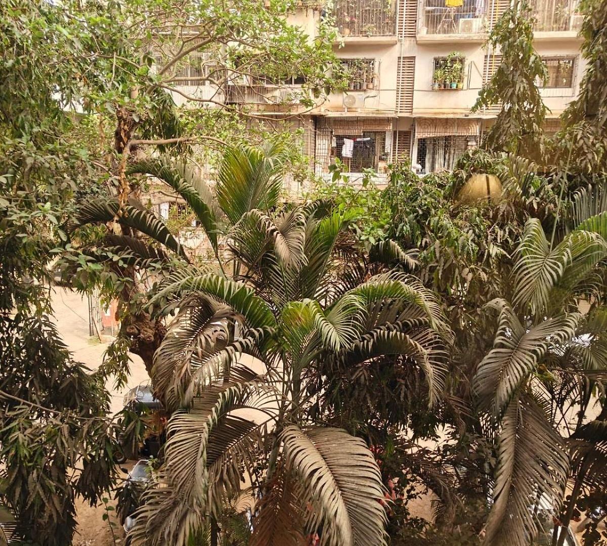 Spacious 1bhk Off Carter Road
