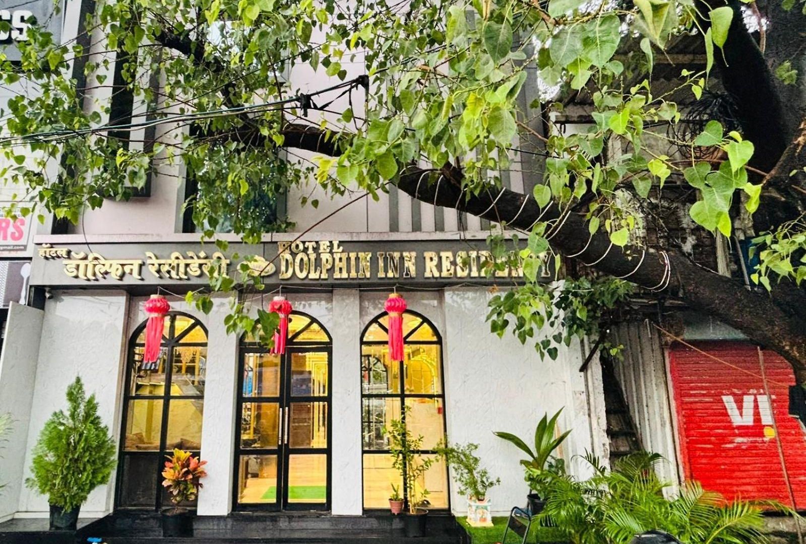 Dolphin Residency