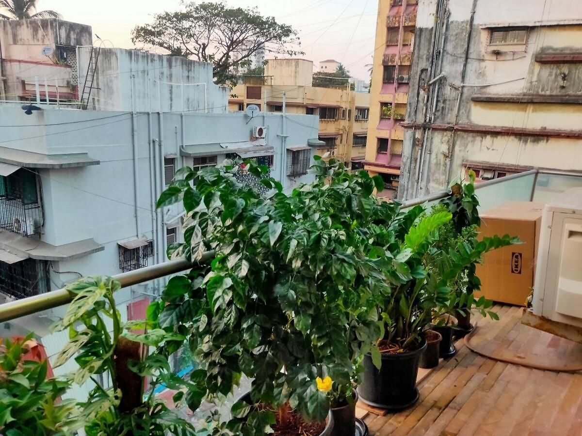 Stay-by-the-bay, 2bed Garden With Lounge Bdrm * Mumbai