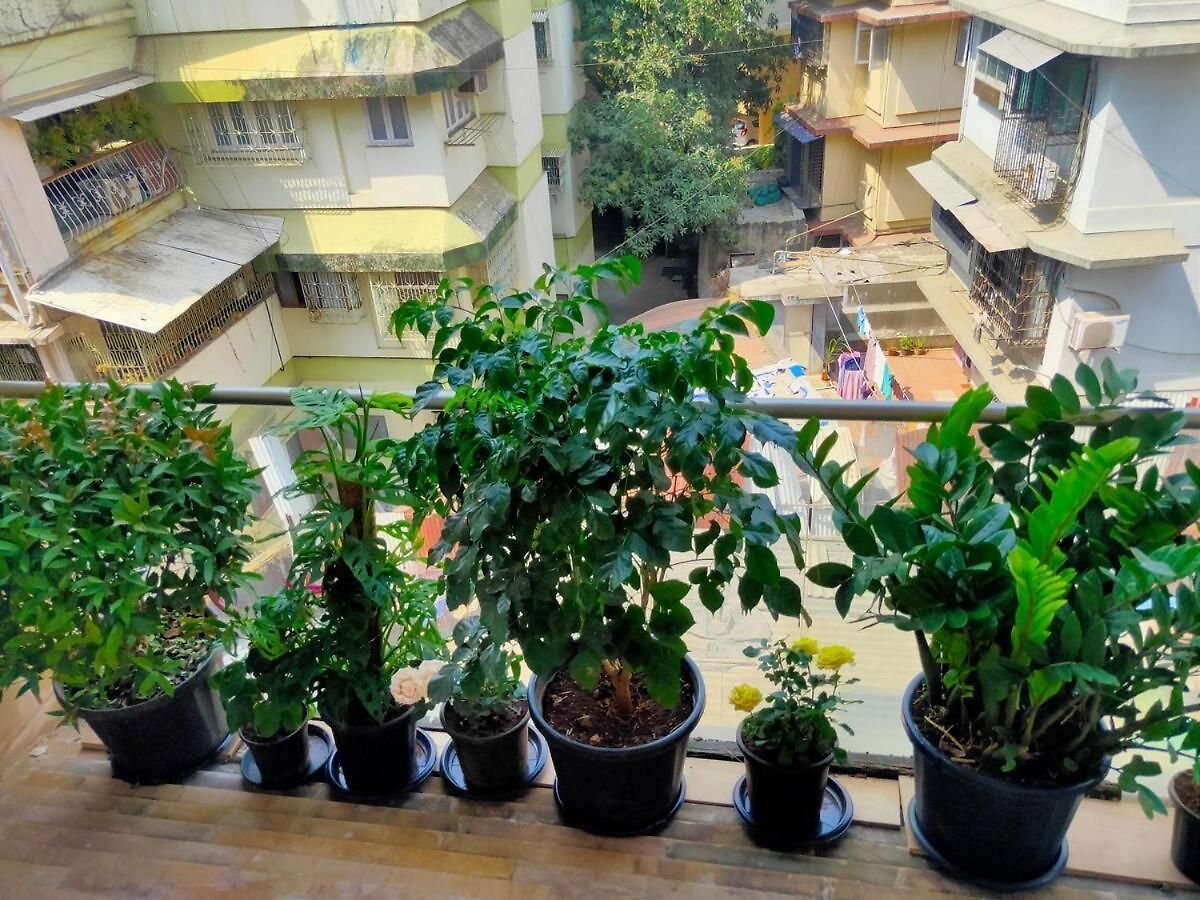 Apartment Stay-by-the-bay, 2bed Garden With Lounge Bdrm