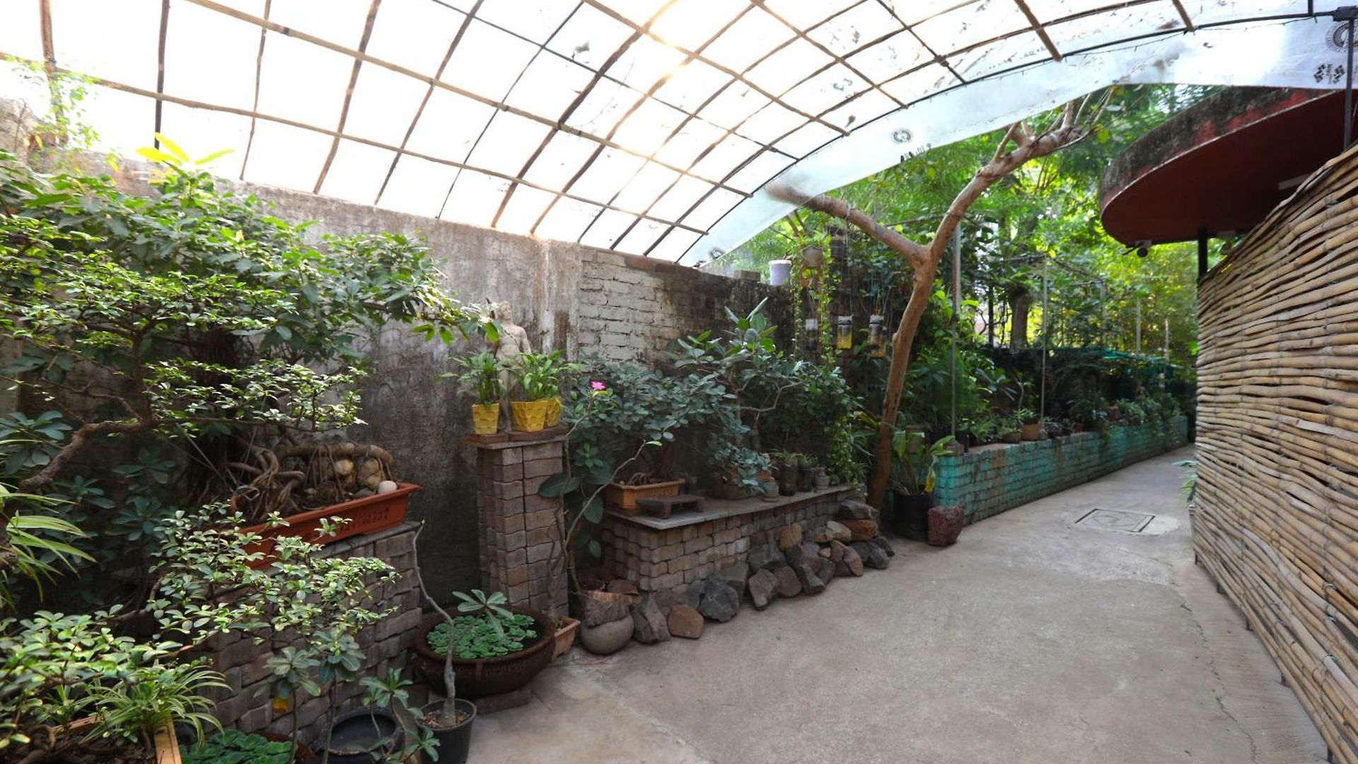Sasha Bed & Breakfast 3*