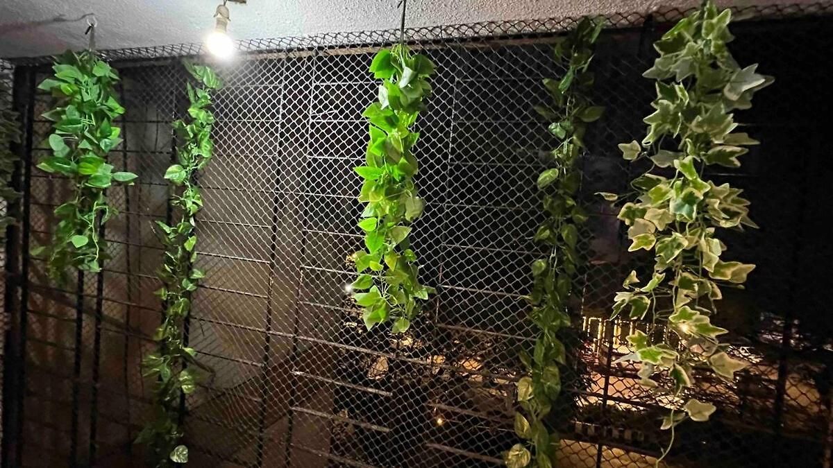 Entire Flat In Andheri West #08 Mumbai
