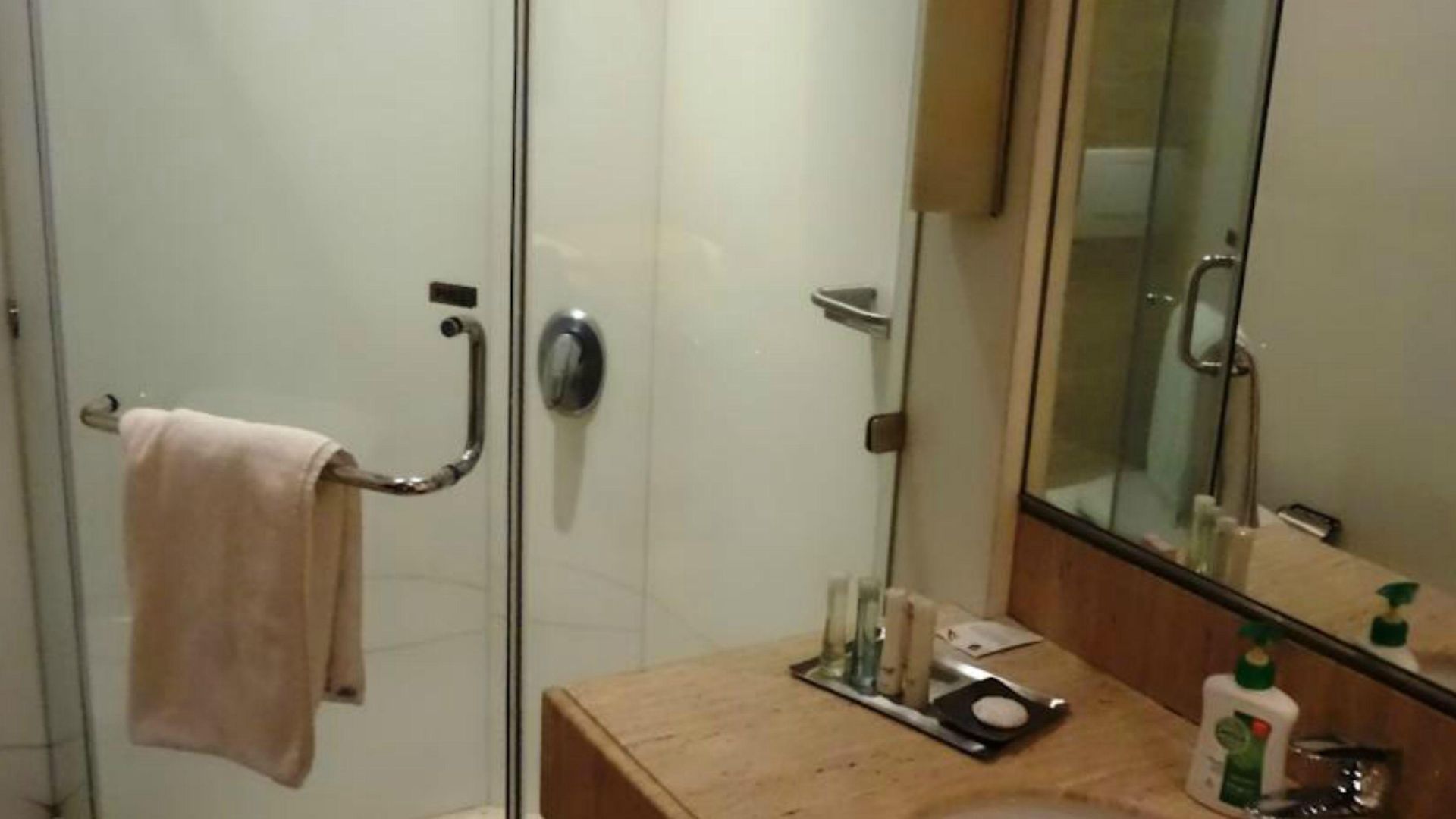 Hotel Mirage Hotel, International Airport Mumbai
