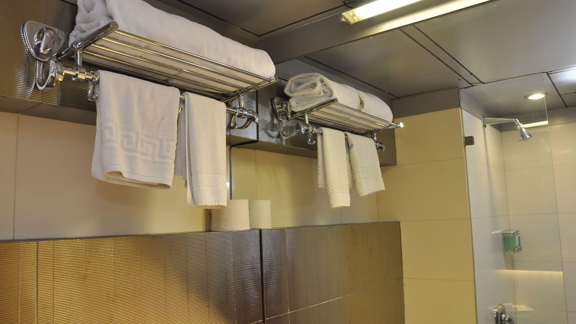 Hotel The Oriental Residency 3*