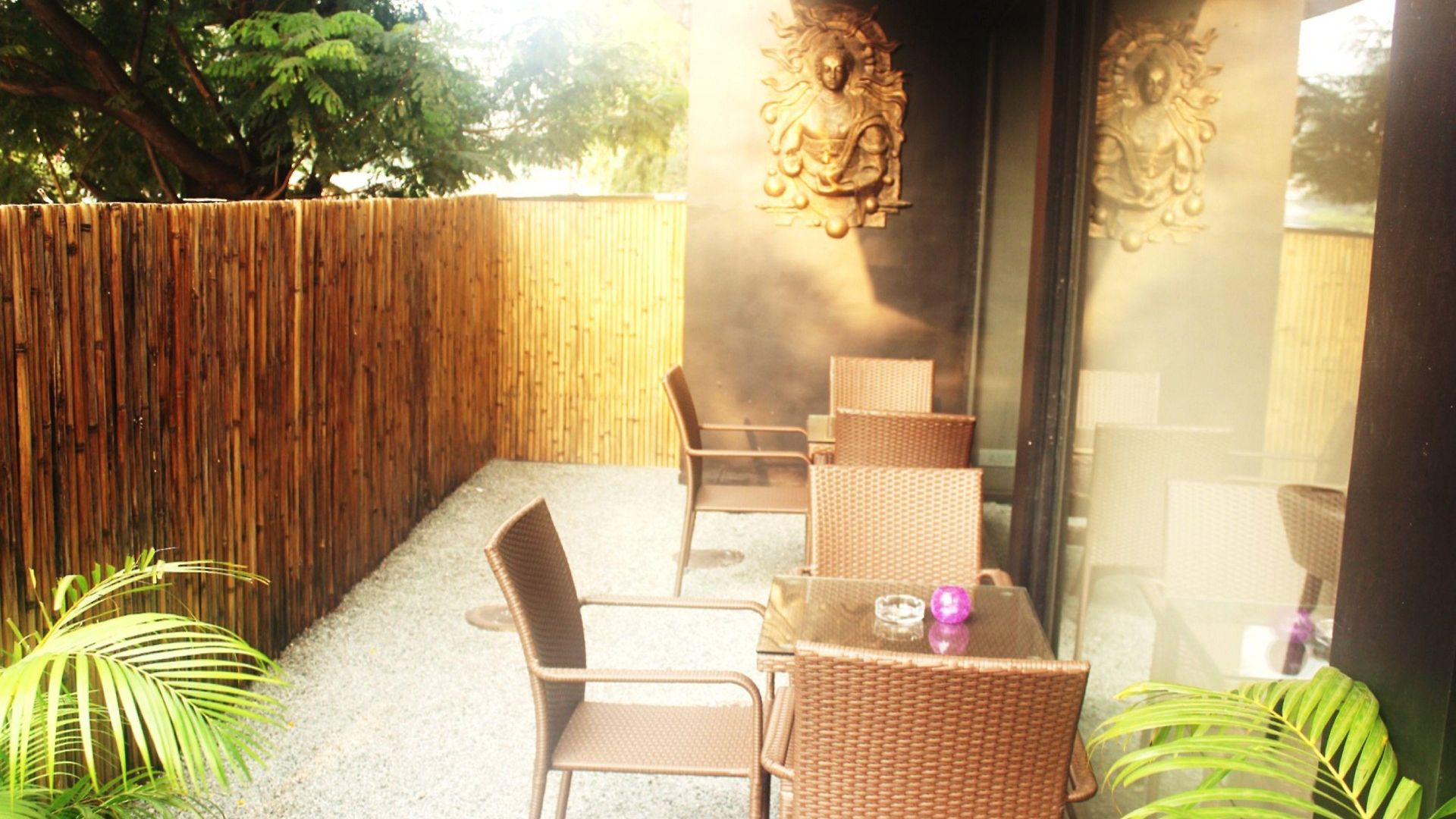 Dragonfly - The Art Hotel 4*