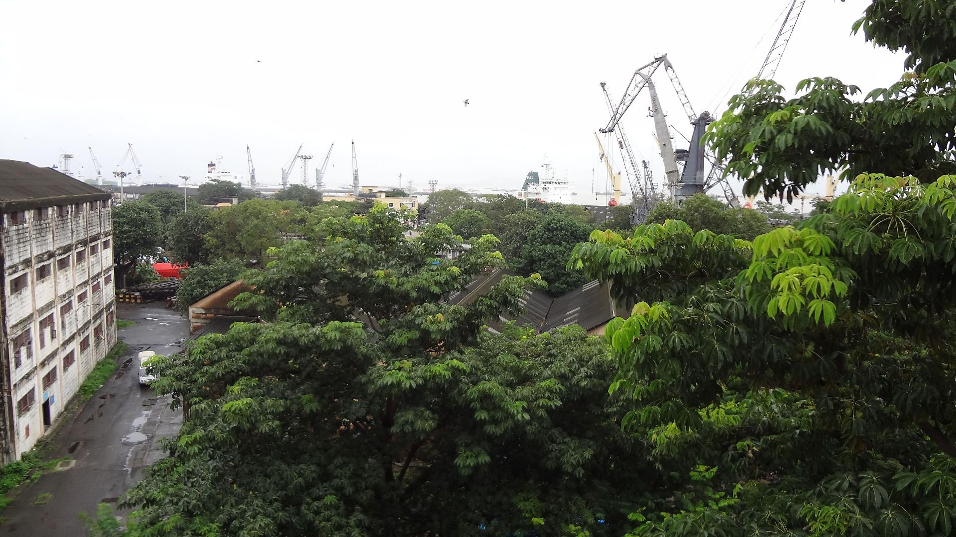 Grand - Ballard Estate,