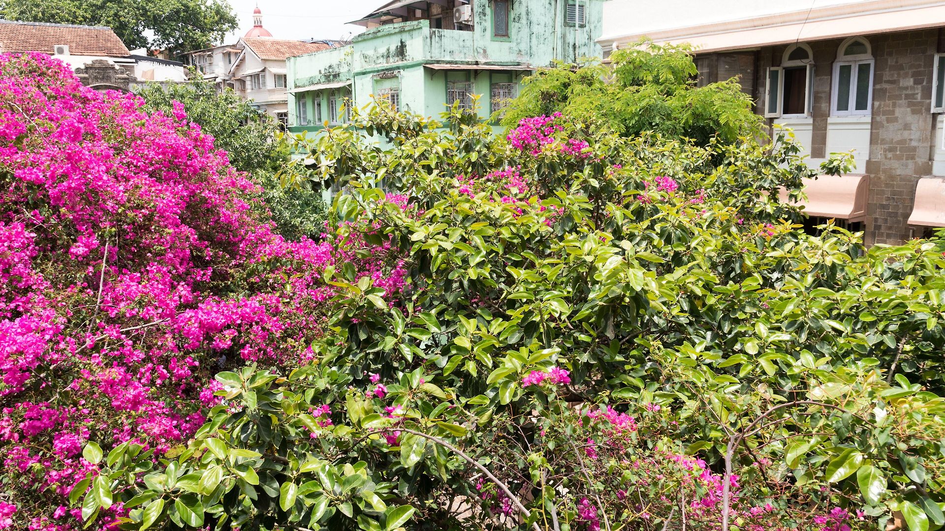 Bentleys Hotel Bed & Breakfast 3*