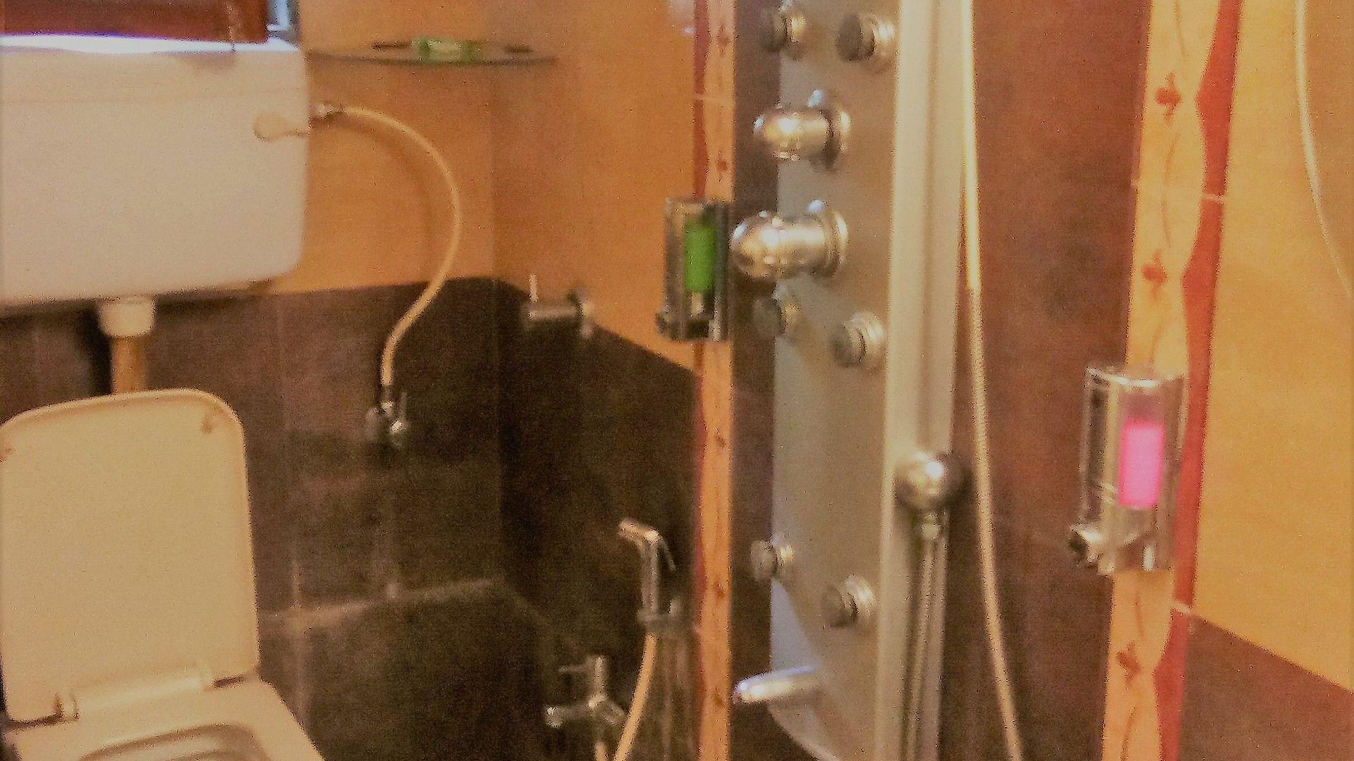 Apartment Dragonfly Emerald