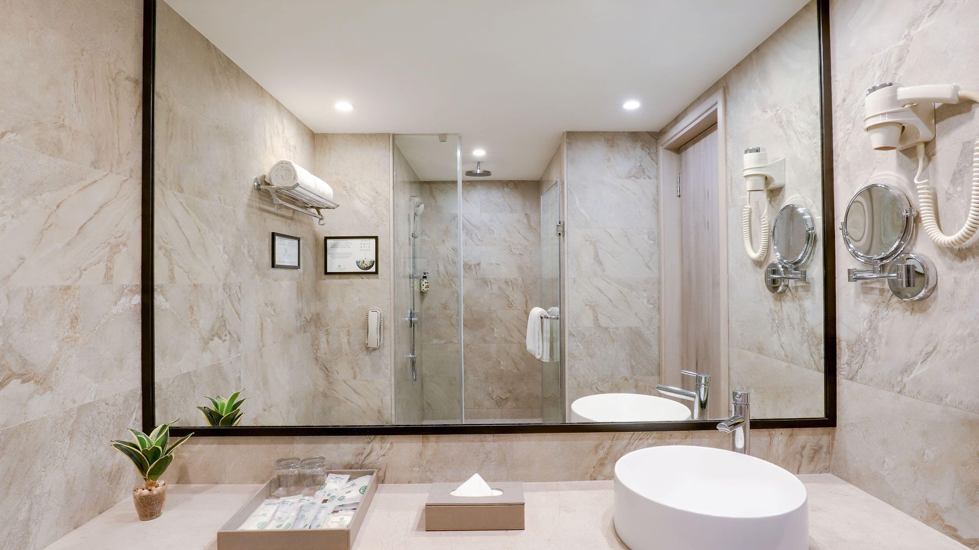 Hotel Lemon Tree Premier, International Airport 5*