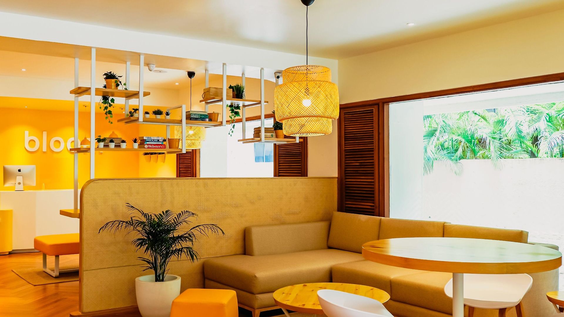 Bloom - Juhu