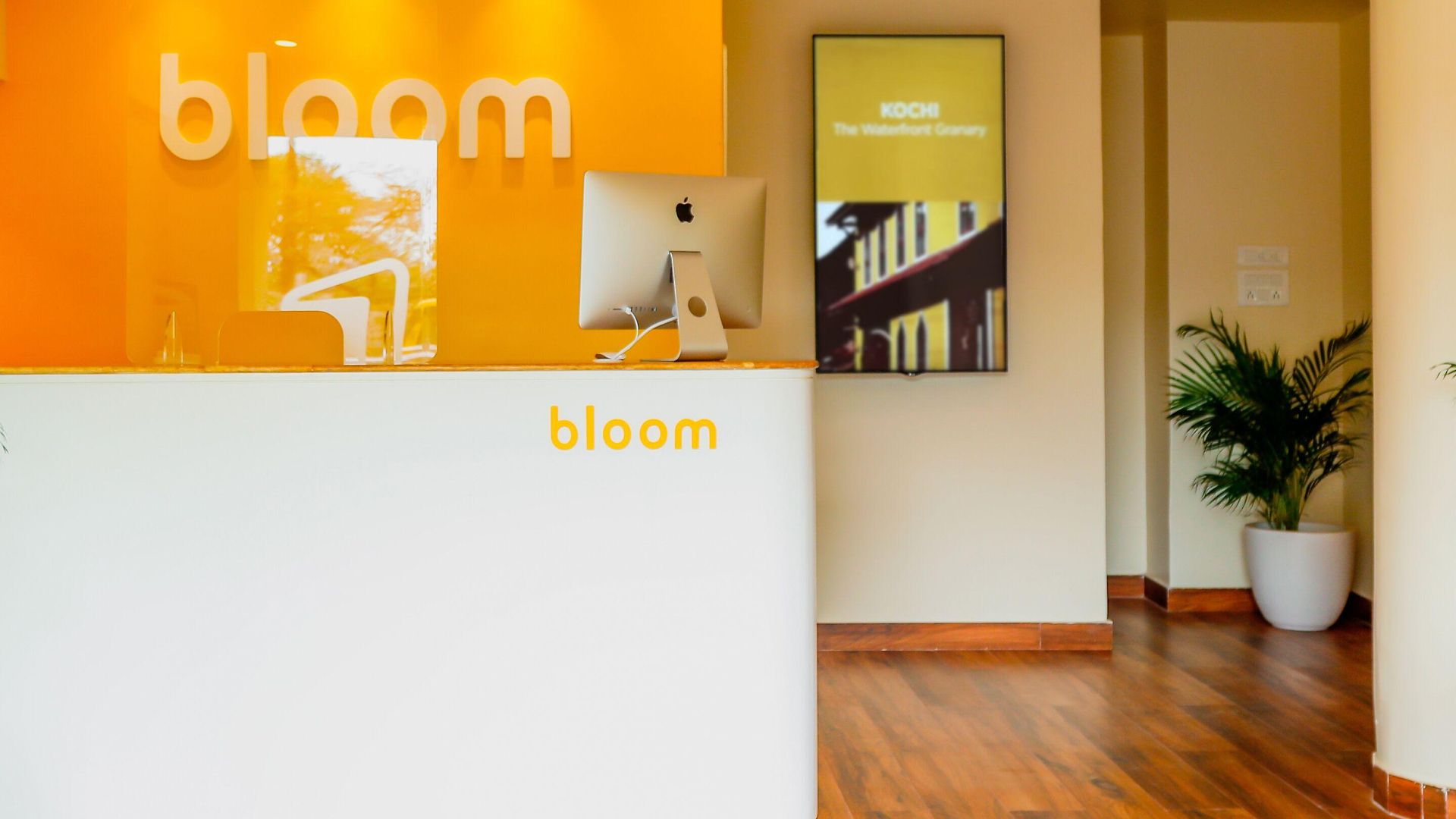 Bloom - Worli