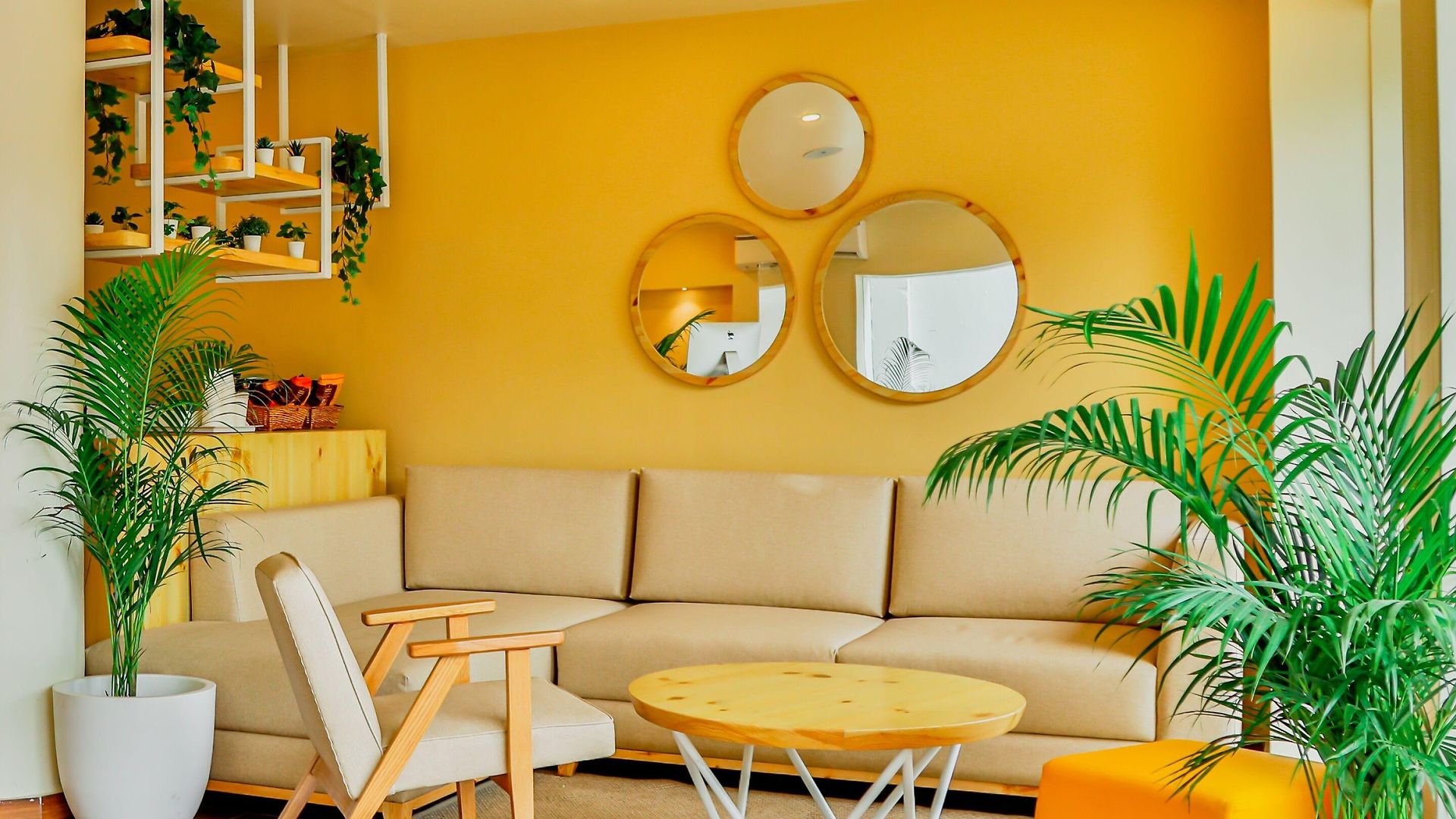 Bloom - Worli 3* Mumbai