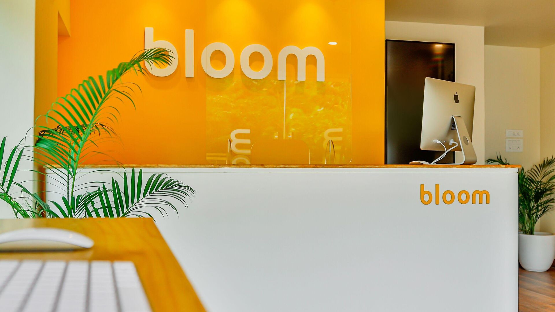 Hotel Bloom - Worli Mumbai