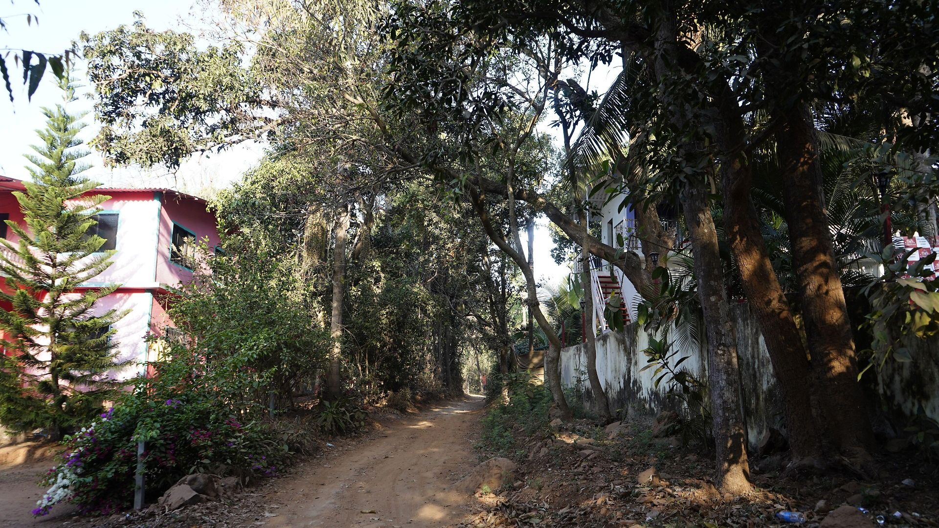 Vellankani Gorai