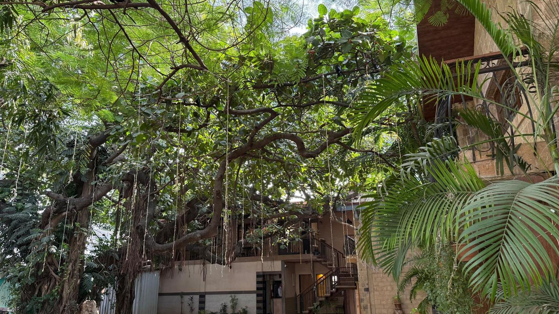 Garden 3* Mumbai