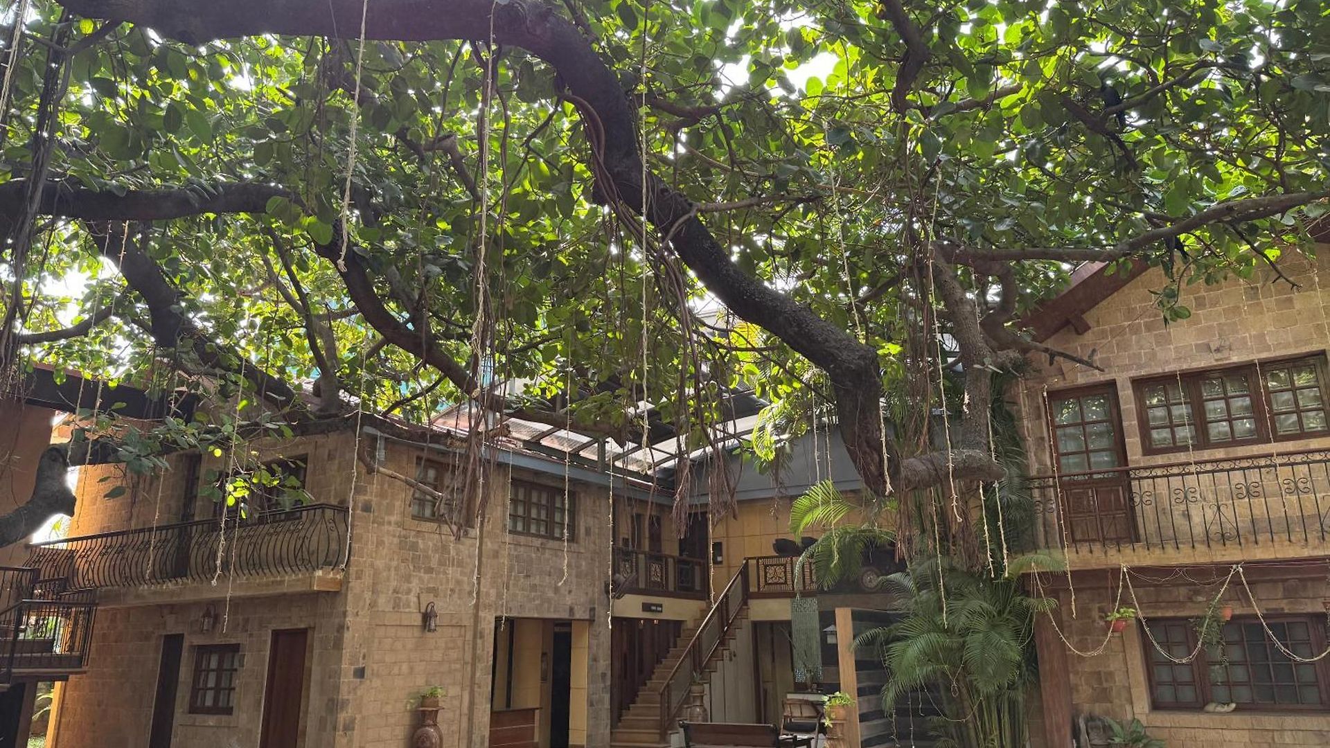 Hotel Garden