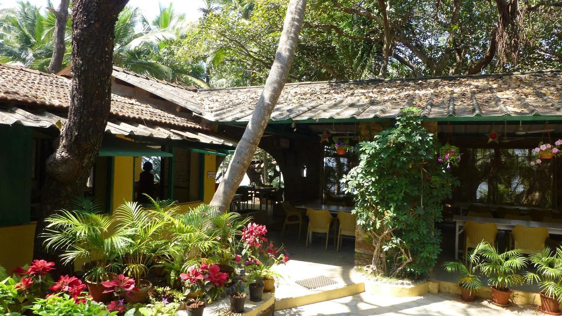 Manoribel