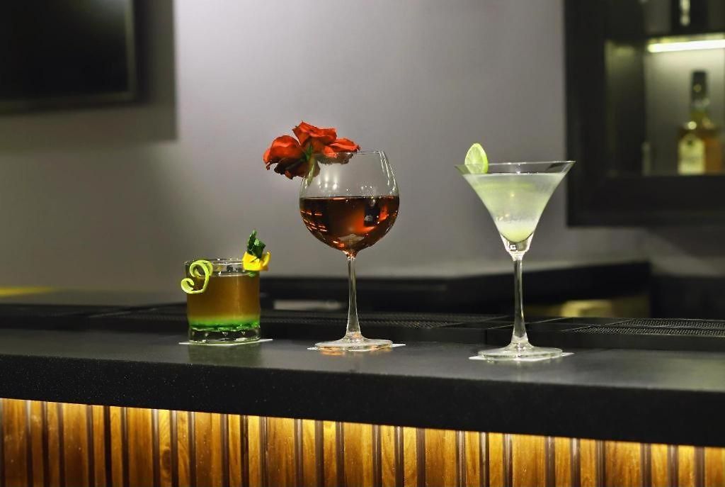 Hotel Aralia A Business Hotel, Midc