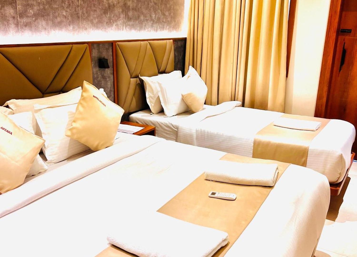 Apsara - Nearj J Hospital 3* Mumbai