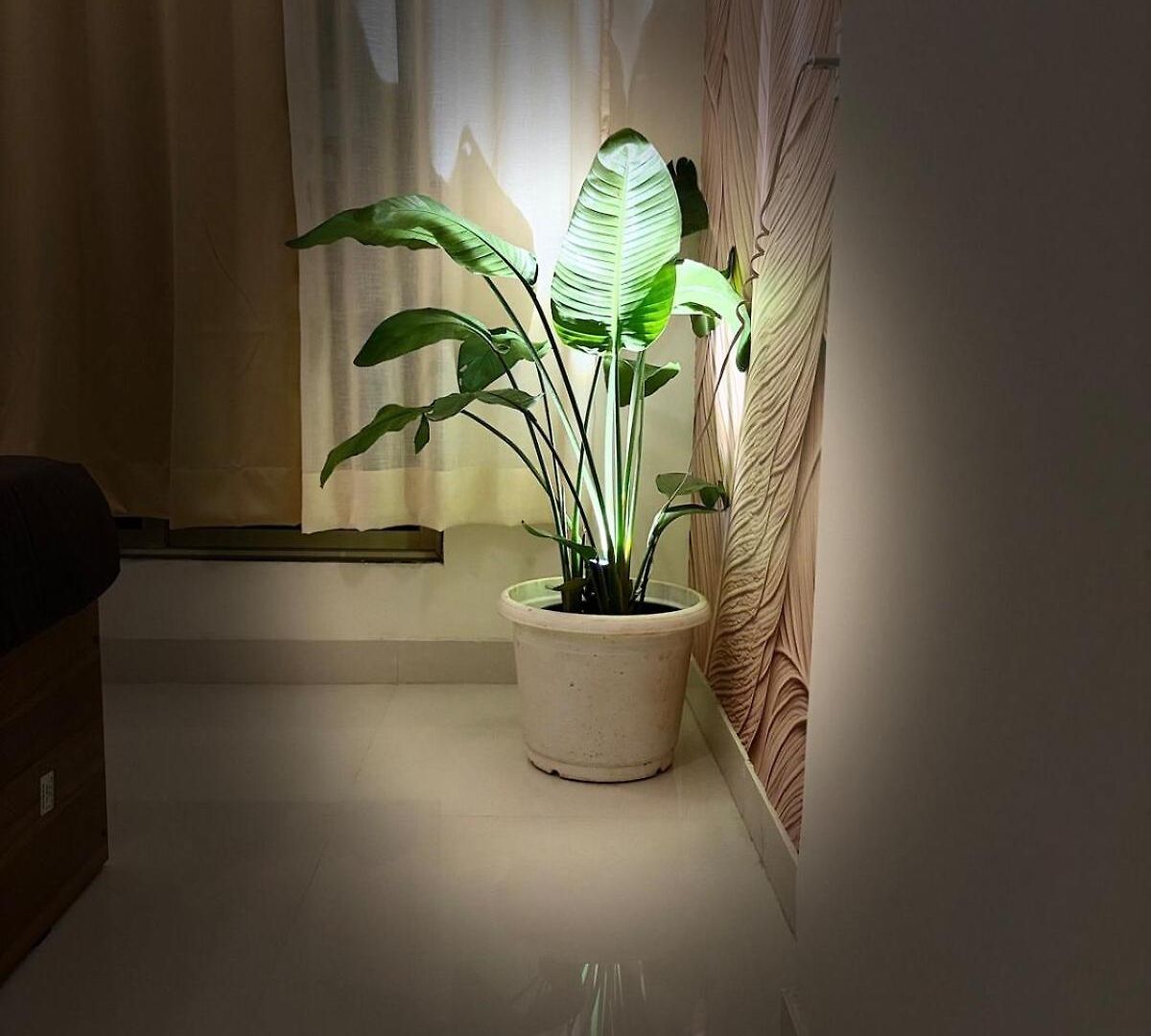 Apartment Royce Executive Service Premium Mumbai