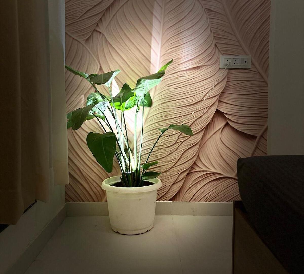 Apartment Royce Executive Service Premium Mumbai
