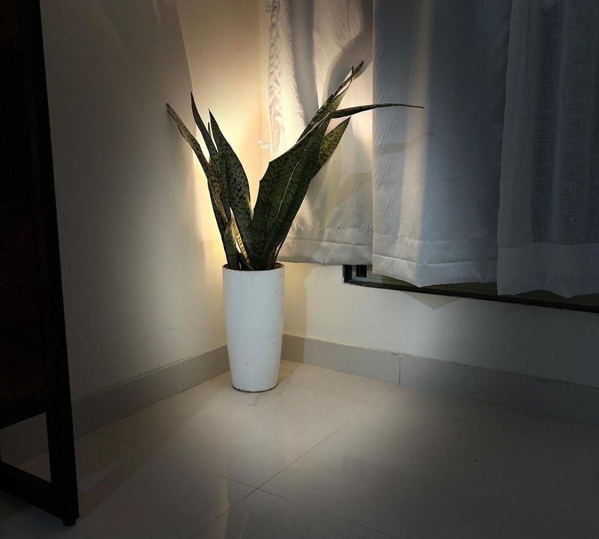 Apartment Royce Executive Service Premium *