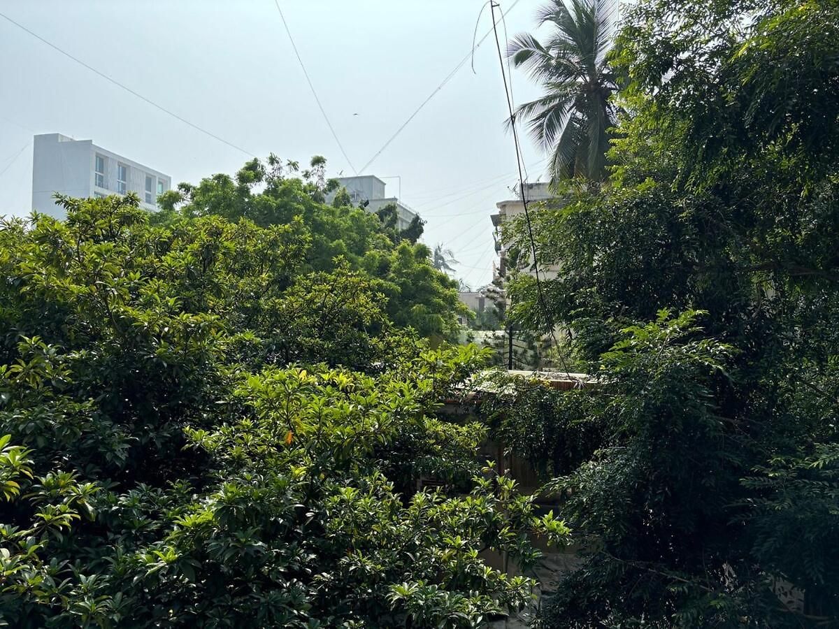 Apartment Sea-front 1-bhk At Carterroad Mumbai