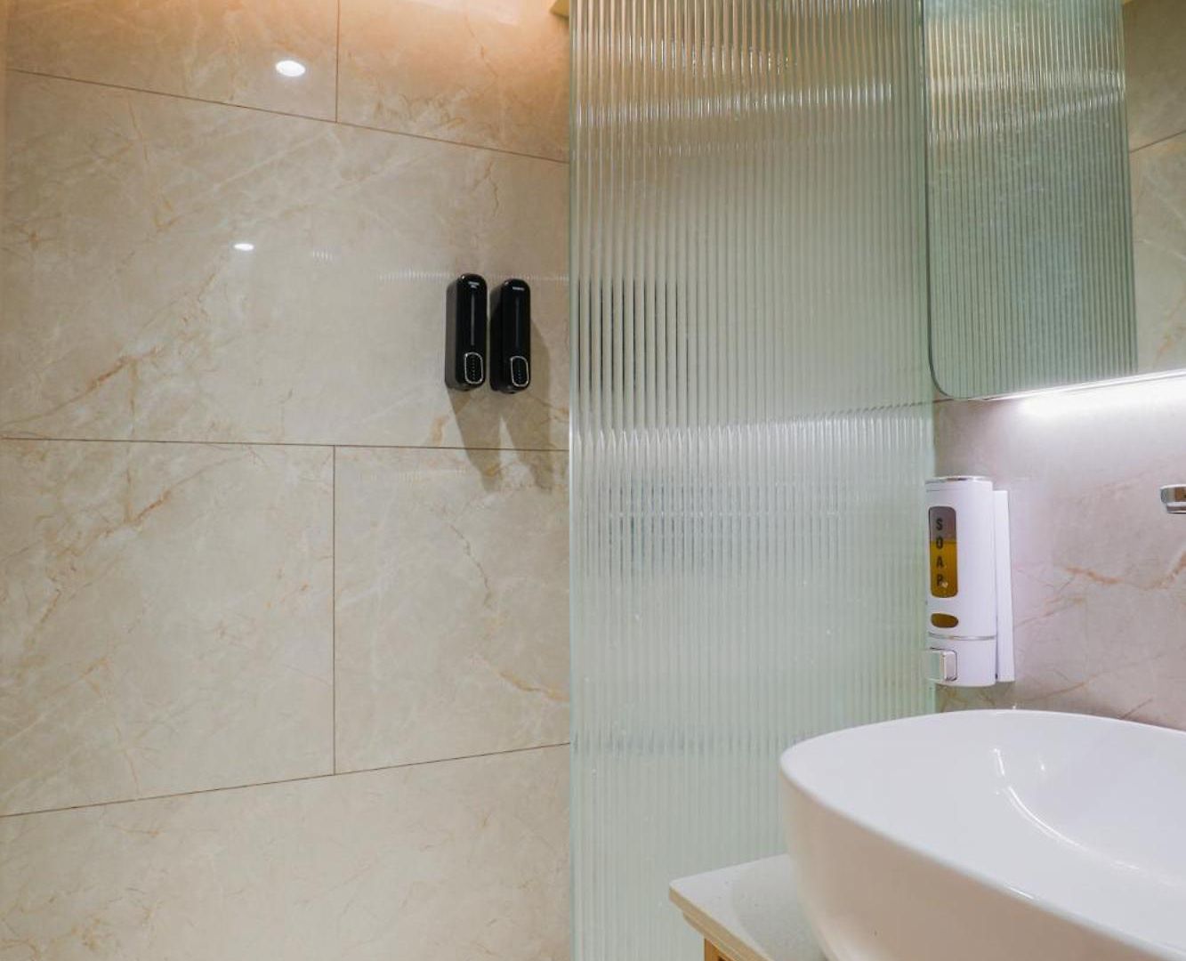 Hotel Silver Near Airport 3*