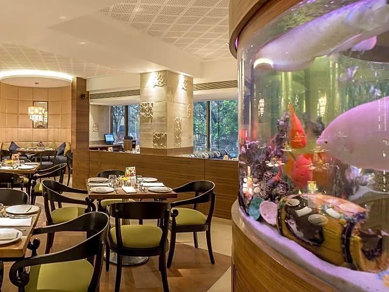 Hotel The International By Tunga 3*