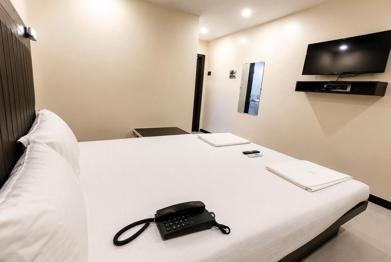 Hotel Taj Palace - Near Airport 3*