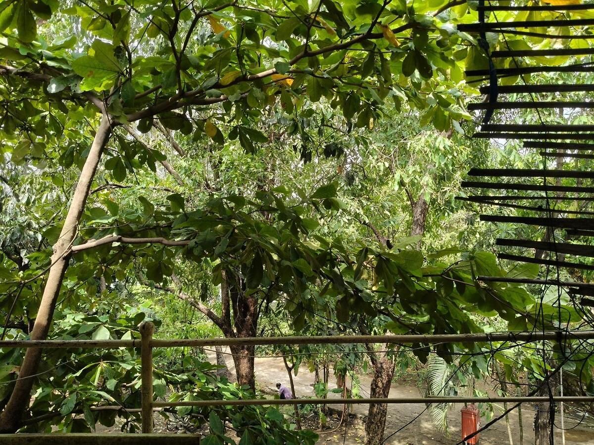 The Culture House Villa Mumbai