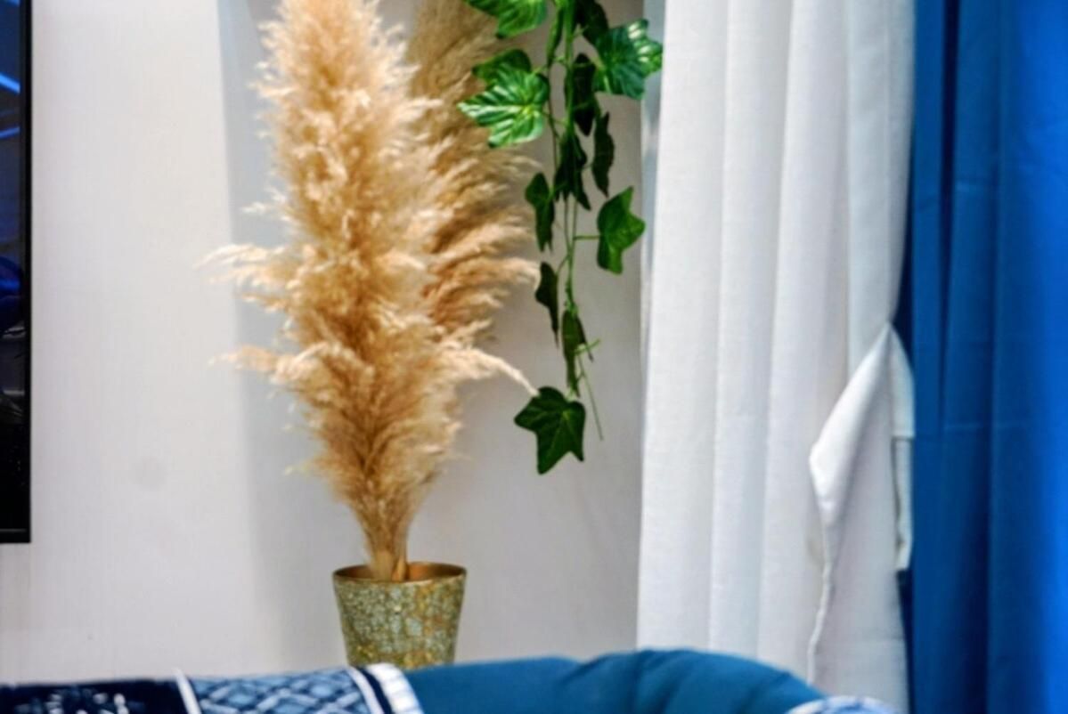 Luxury Mahal Majesty L Urban Escape L Ocean View Apartment