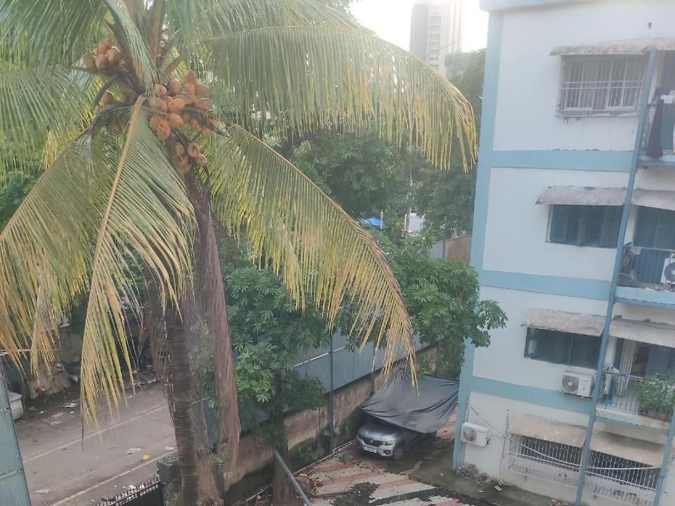 Homestay The Cozy Nest Mumbai