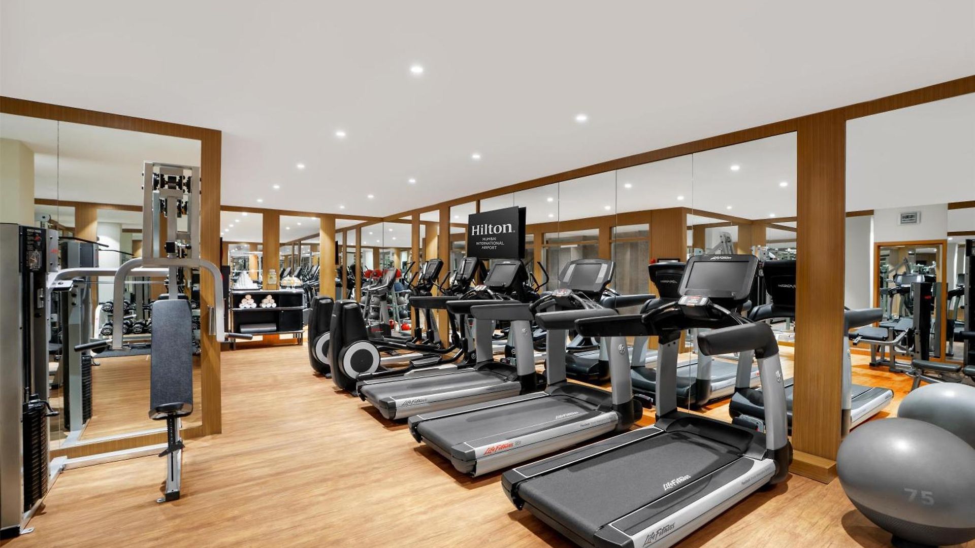 Hotel Hilton International Airport 5*