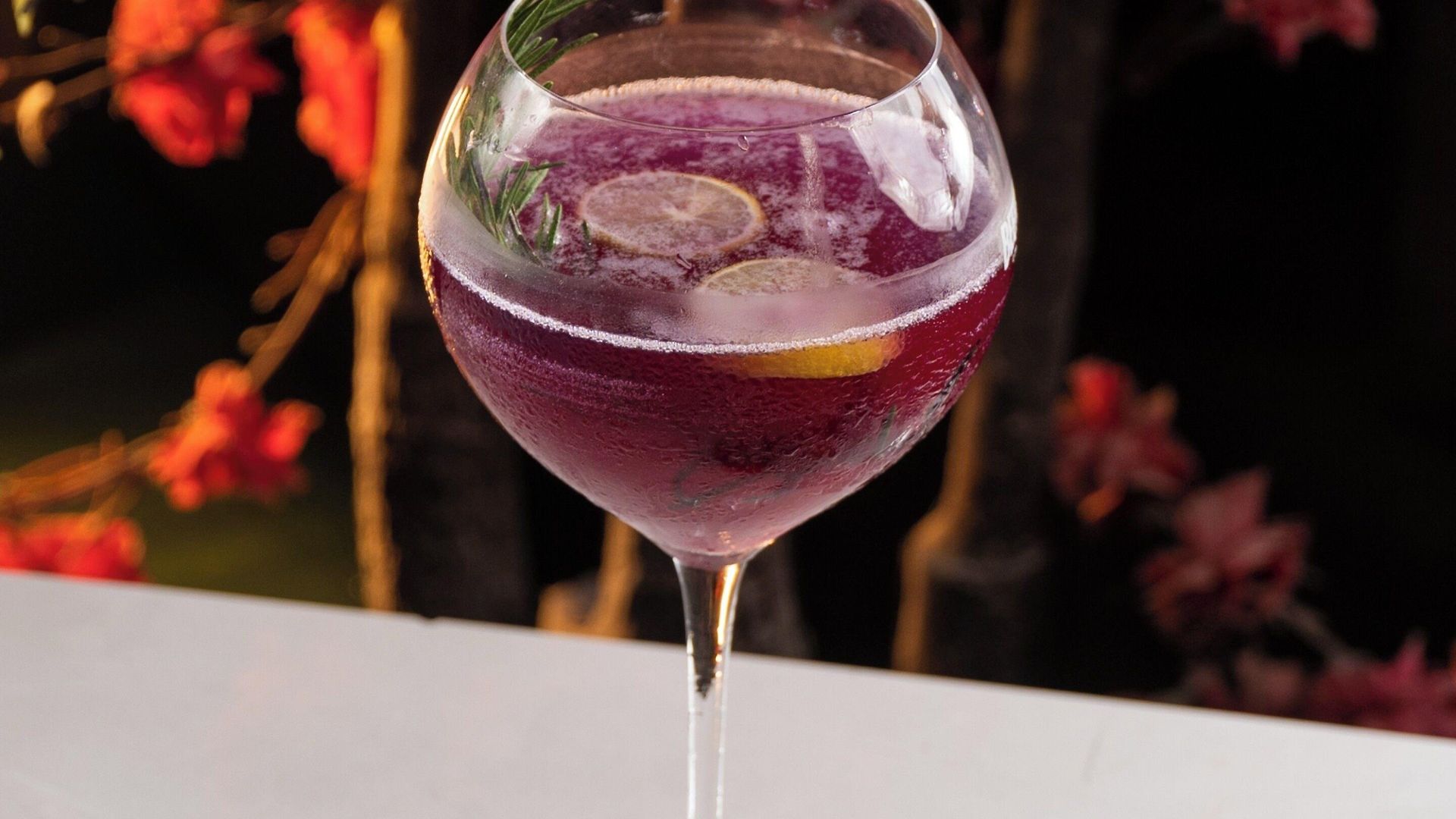 Hotel Bloom Boutique L Bandra Mumbai
