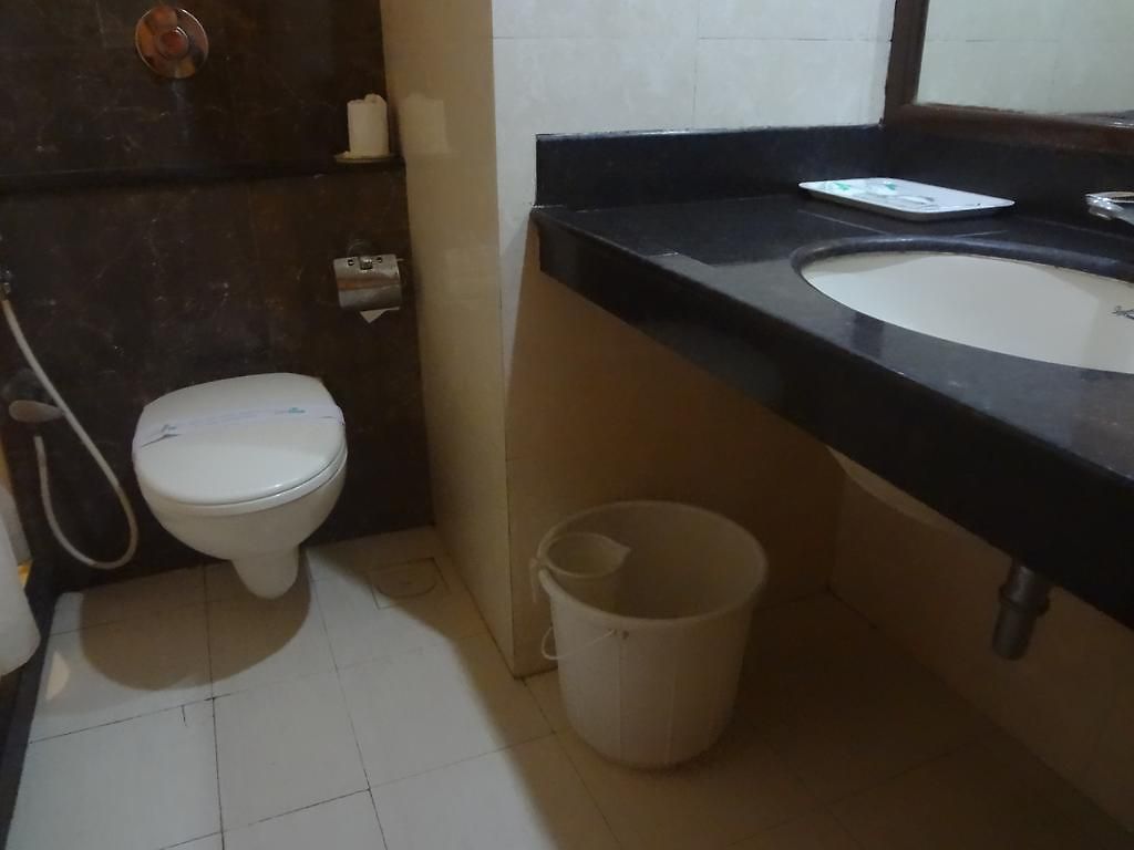 Juhu Plaza Hotel 3*