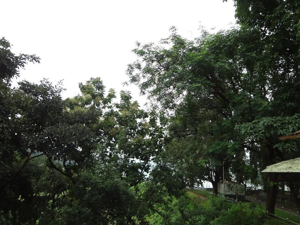 Hill View Hotel Mumbai