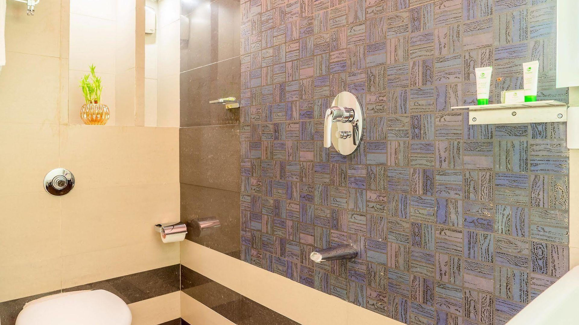 Hotel Comfort Metropolis 4*