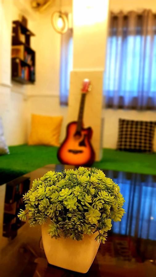 Hostel Backpackers *