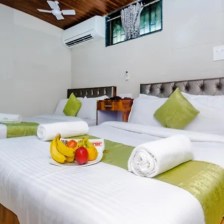 Alfa Heritage Near Tata Memorial Hospital And Near Masina Hospital 3* Mumbai
