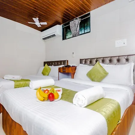 Hotel Alfa Heritage Near Tata Memorial Hospital And Near Masina Hospital Mumbai