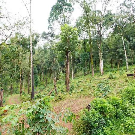 The Nest Bettathur Coorg Mumbai