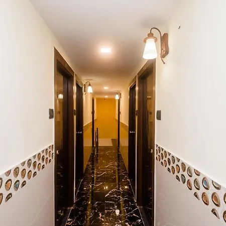 Hotel Oyo 26199 Spring Hill 3*