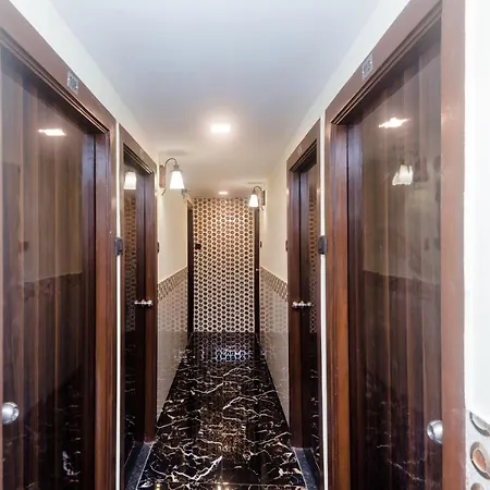 Hotel Oyo 26199 Spring Hill 3*
