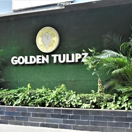 Golden Tulipzz By Marvik Mumbai