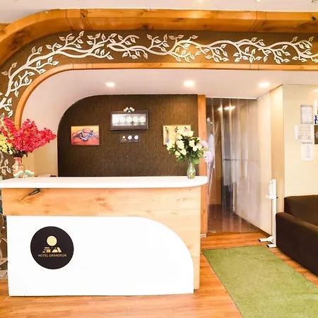 Grandeur-near International Airport Hotel