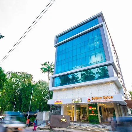 Hotel Auris & Banquets, International Airport 4*