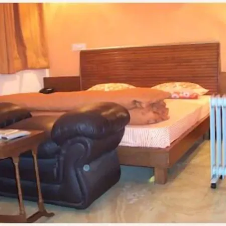 Hotel Ace Residency 2*