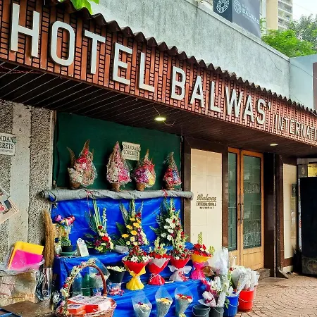 Hotel Balwas International