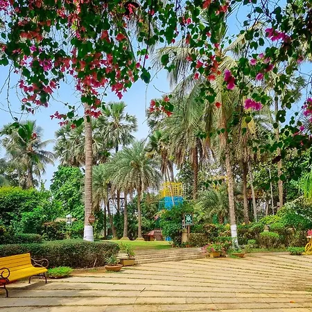 The Resort 5*